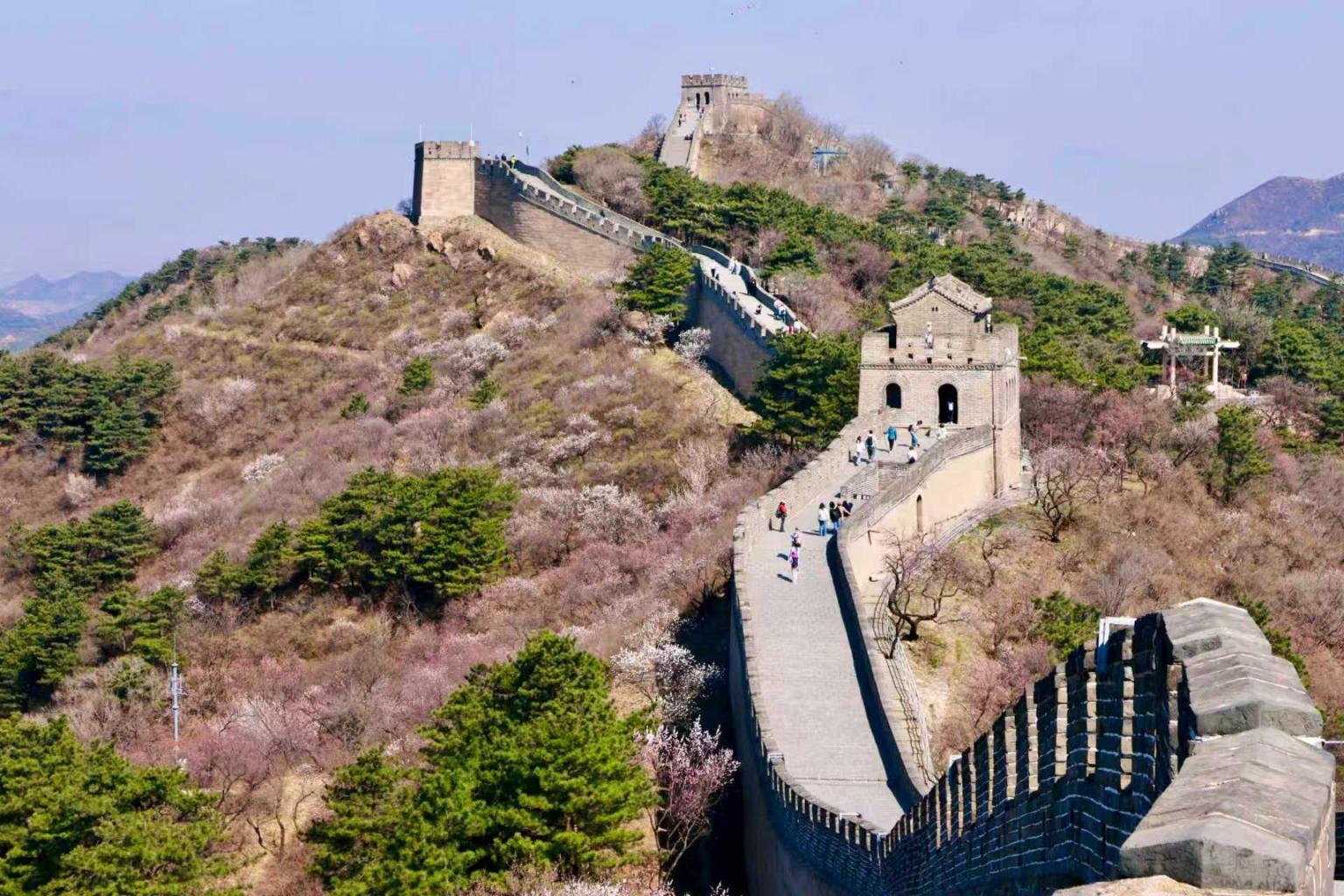 八达岭山花烂漫!南四楼至南七楼正值最佳观赏期 八达岭山花烂漫!南四楼至南七楼正值最佳观赏期