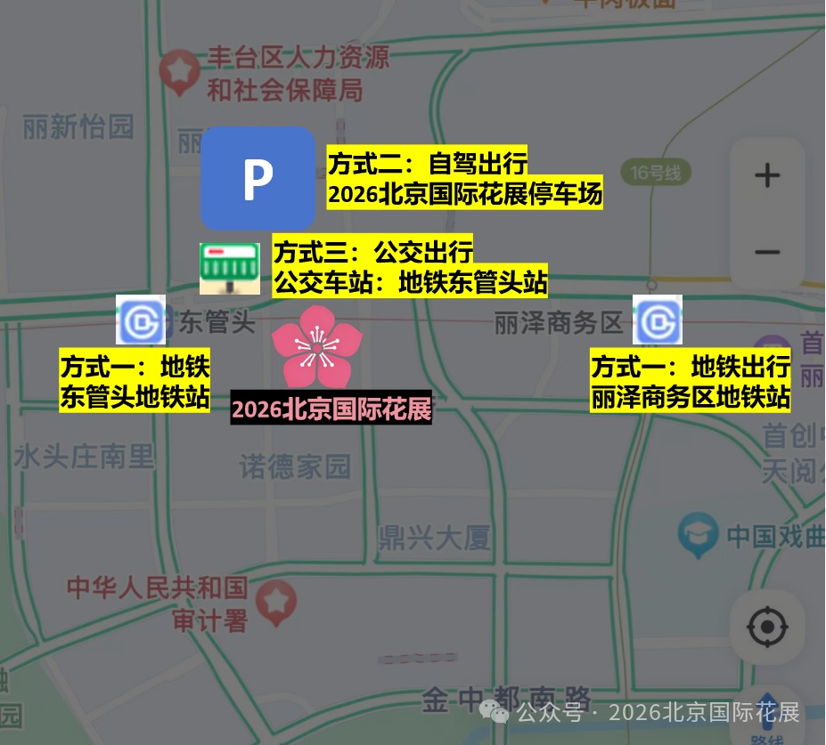 国际花展怎么订票、怎么乘车、怎么玩？全在这——