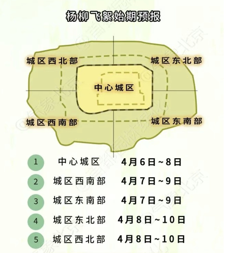 北京进入飞絮期 紧急提醒！