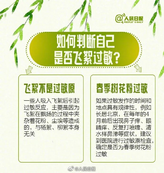 北京进入飞絮期 紧急提醒！