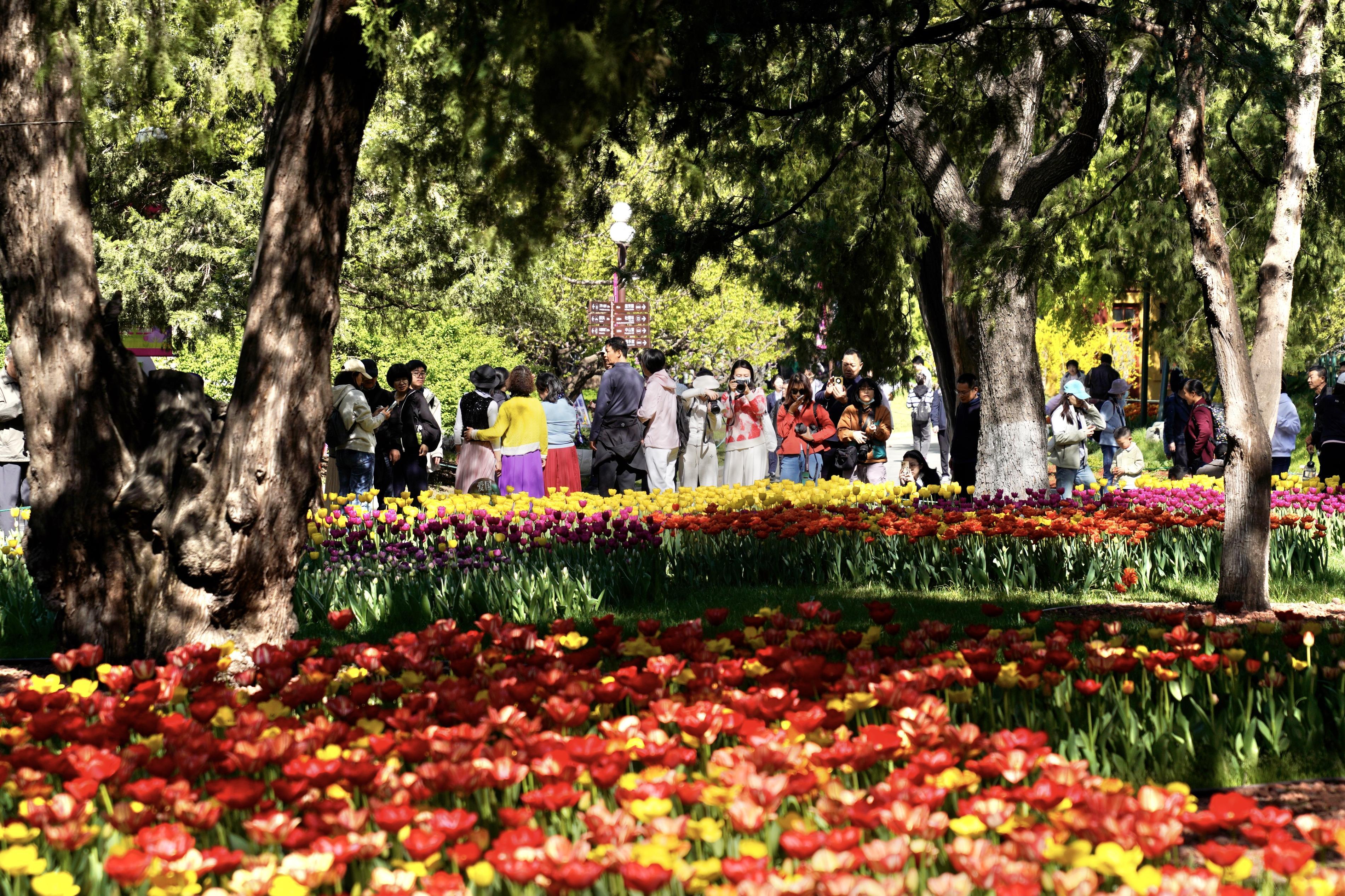 “来今雨轩讲堂”开讲 重温百年公园历史