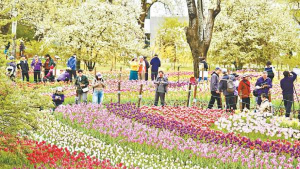 新建项目 新建项目