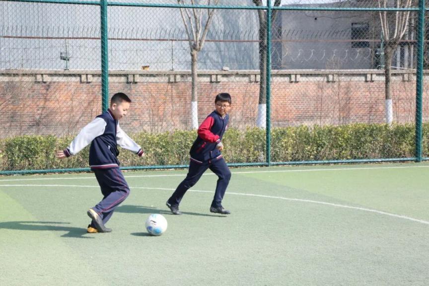 免费!全龄友好!海淀“家门口”这一体育公园,太好玩了 免费!全龄友好!海淀“家门口”这一体育公园,太好玩了