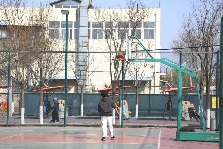免费!全龄友好!海淀“家门口”这一体育公园,太好玩了 免费!全龄友好!海淀“家门口”这一体育公园,太好玩了
