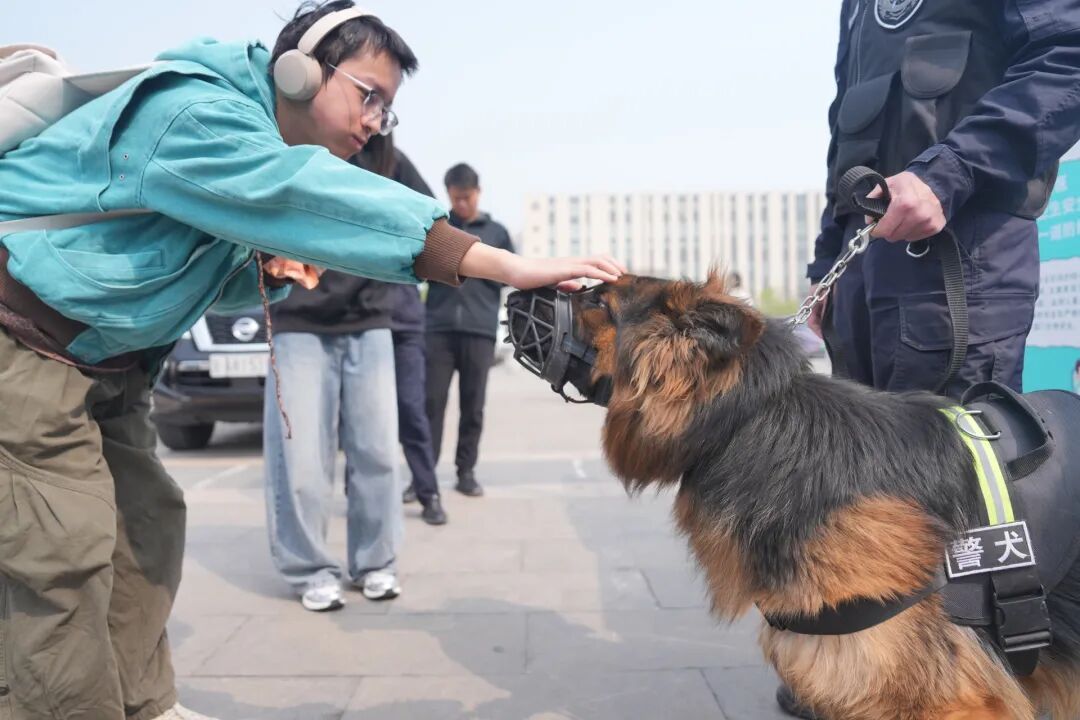 剧本杀、游园会、文化节……北京高校学子共上这堂课！