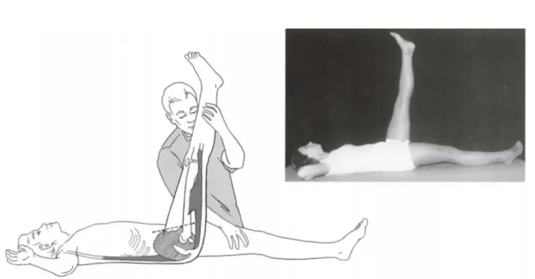 人的这几块肌肉很重要！不想老了受罪 现在练还不晚