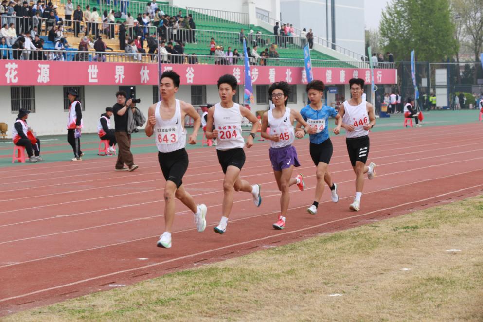 融合五育特色 增设特殊教育项目 2026年平谷区中小学生田径运动会启幕