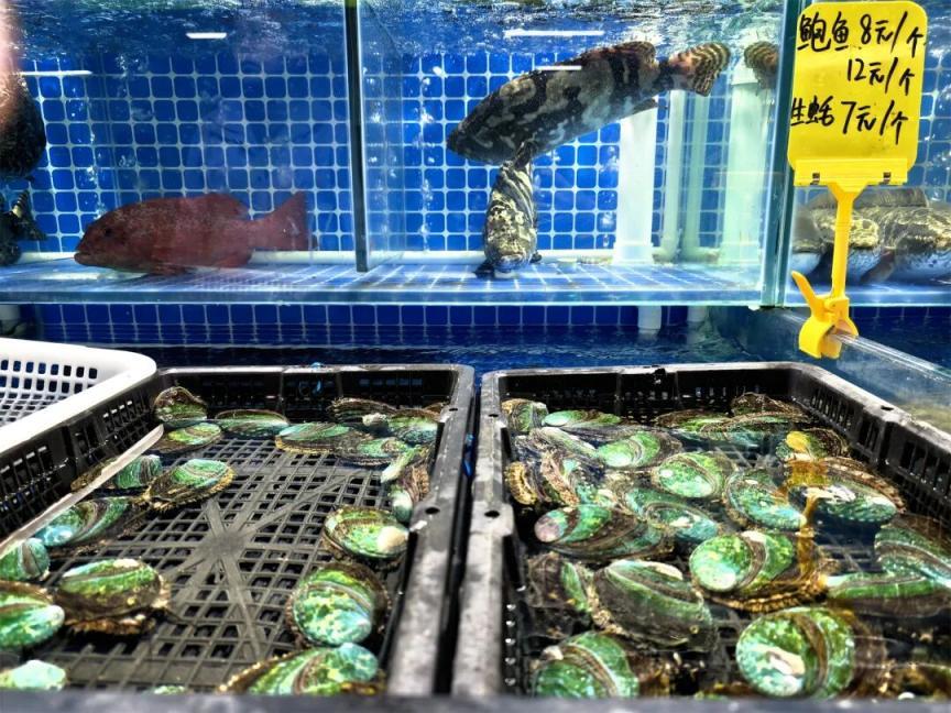 4500平方米！海淀这里新开一个大市集