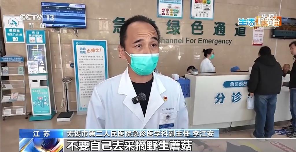 野生蘑菇要慎食 当心尝鲜变“尝险”