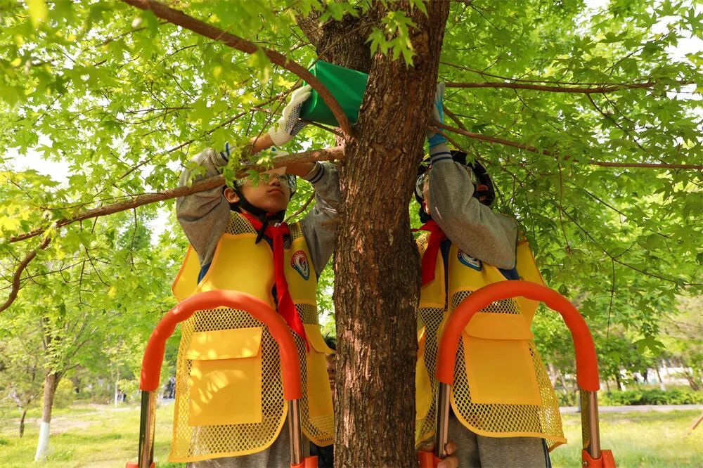 没有围墙的校园来了！孩子们这样上课