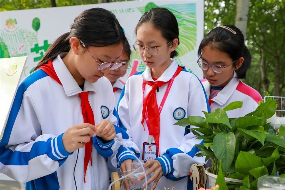 没有围墙的校园来了！孩子们这样上课