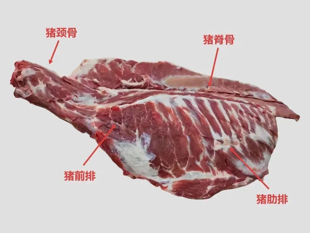 一扇通排