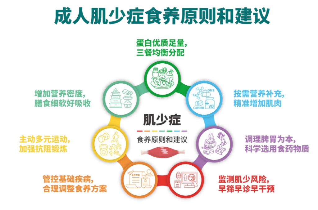 《成人肌少症食养指南》截图 《成人肌少症食养指南》截图