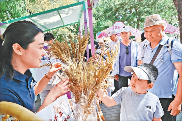 在陶然亭公园，科普人员向游客介绍五谷知识。