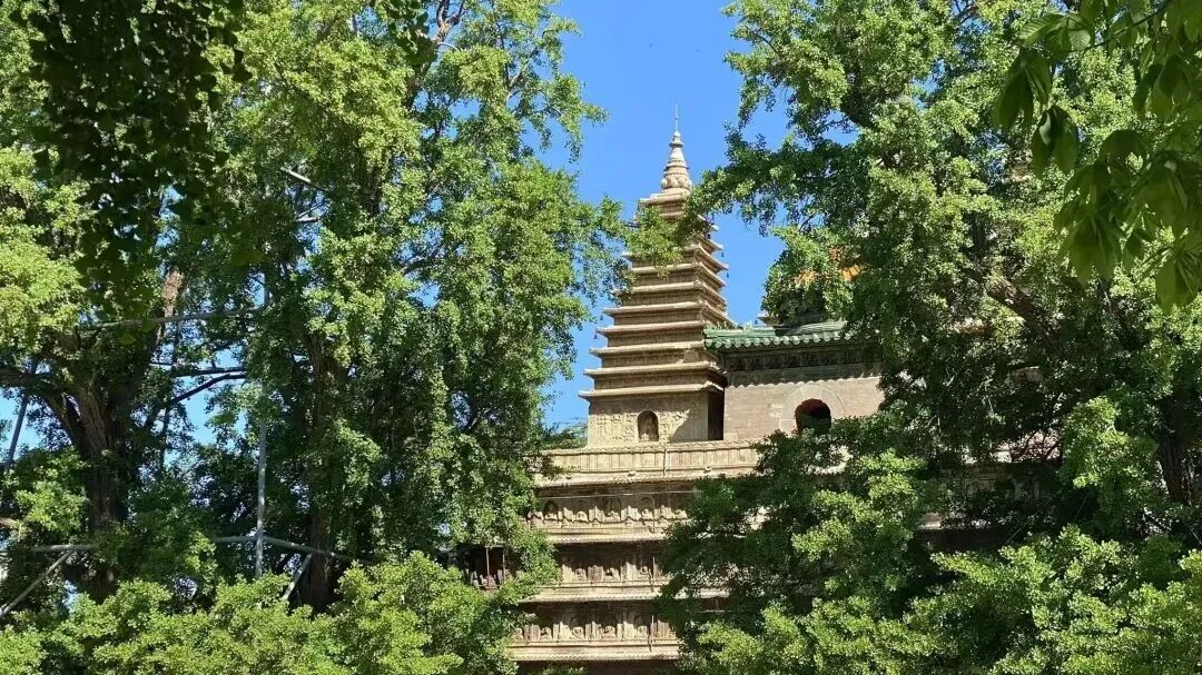 别跑空!北京多家博物馆,暑期开放时间变了 别跑空!北京多家博物馆,暑期开放时间变了