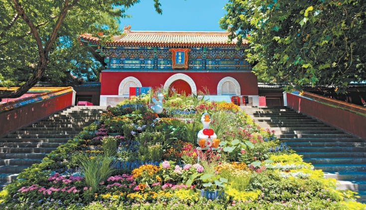北海公园阐福寺腾退完成后,开放的古建院落成为皇家园林历史文化展示空间。 北海公园阐福寺腾退完成后,开放的古建院落成为皇家园林历史文化展示空间。