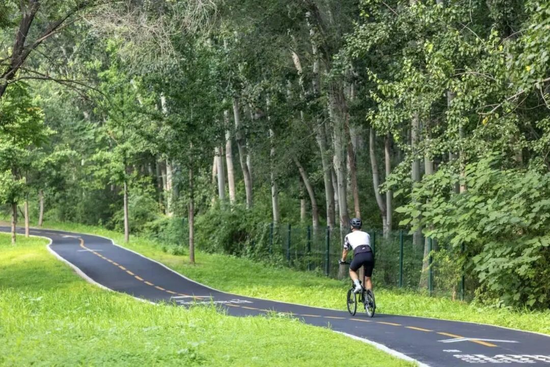 这个夏天 在奥林匹克中心区的快乐是 这个夏天 在奥林匹克中心区的快乐是
