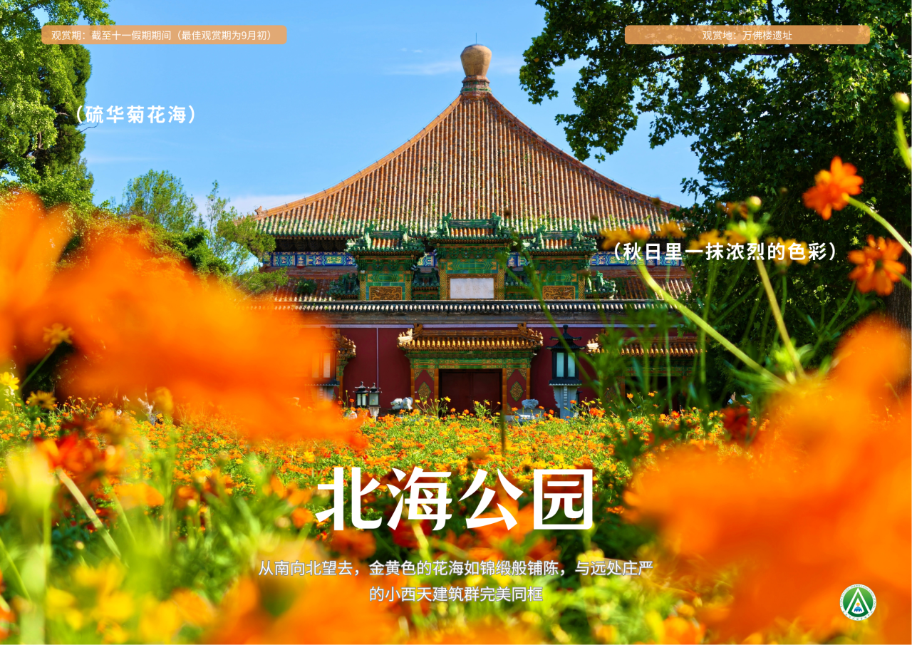 市属公园花境漫游 出片机位全攻略