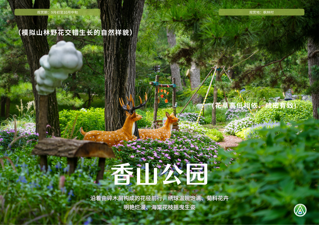 市属公园花境漫游 出片机位全攻略