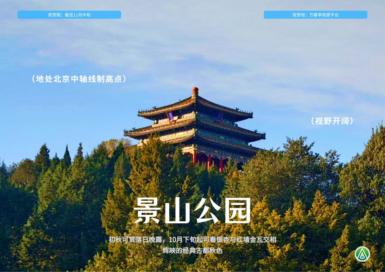 市属公园花境漫游 出片机位全攻略