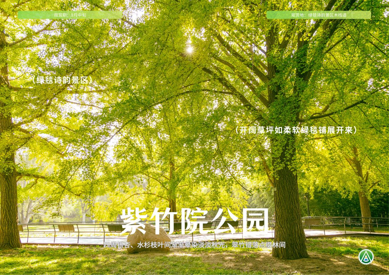市属公园花境漫游 出片机位全攻略
