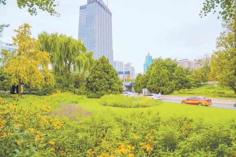 位于北四环安慧桥区的野花园。 位于北四环安慧桥区的野花园。