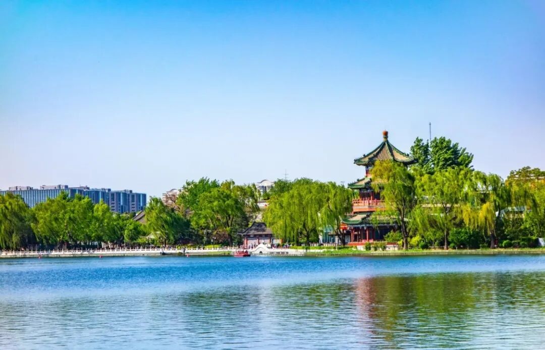 辛苦了老师 教师节这天 什刹海给老师留了一份秋色