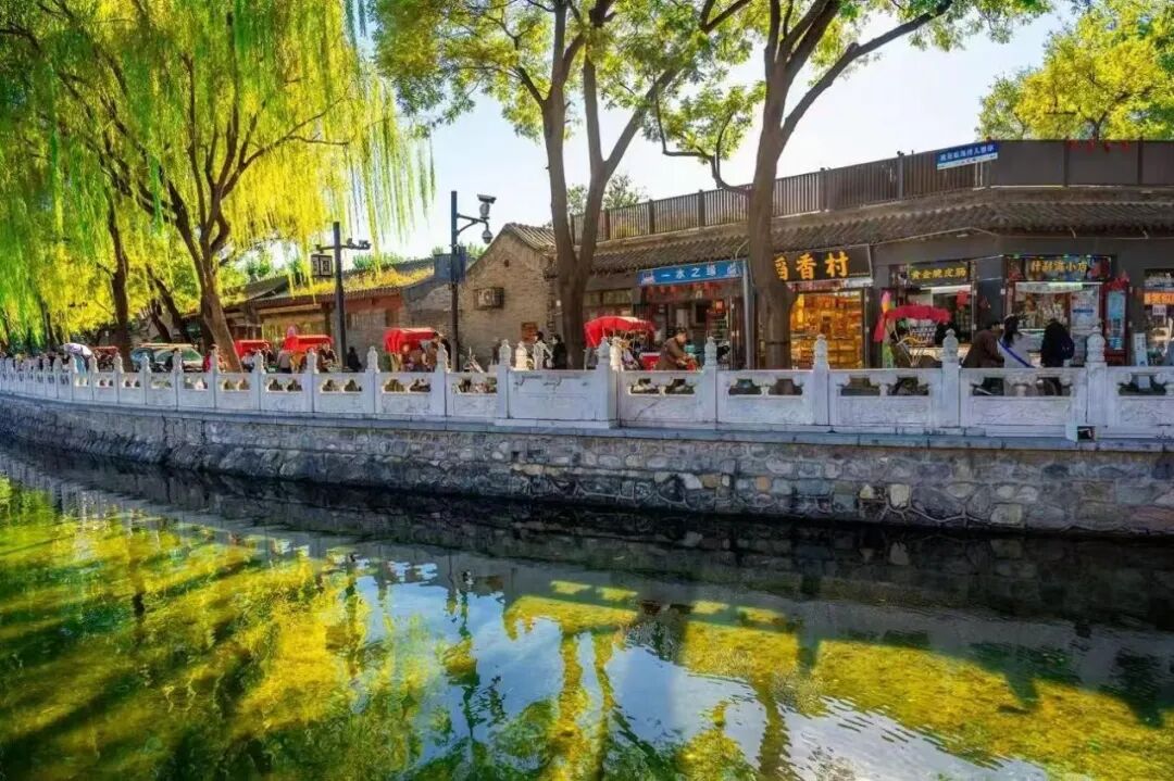 辛苦了老师 教师节这天 什刹海给老师留了一份秋色