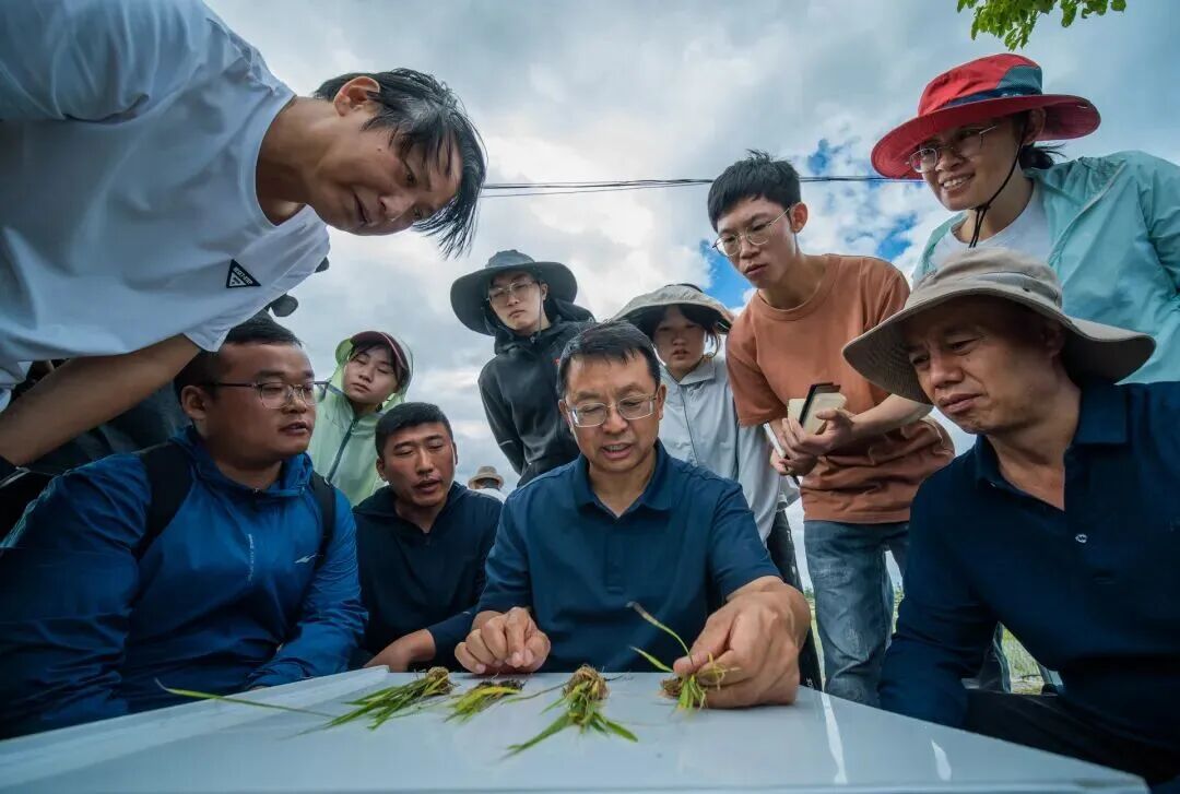 2026年“最美教师”名单公布，北京张福锁老师光荣入选