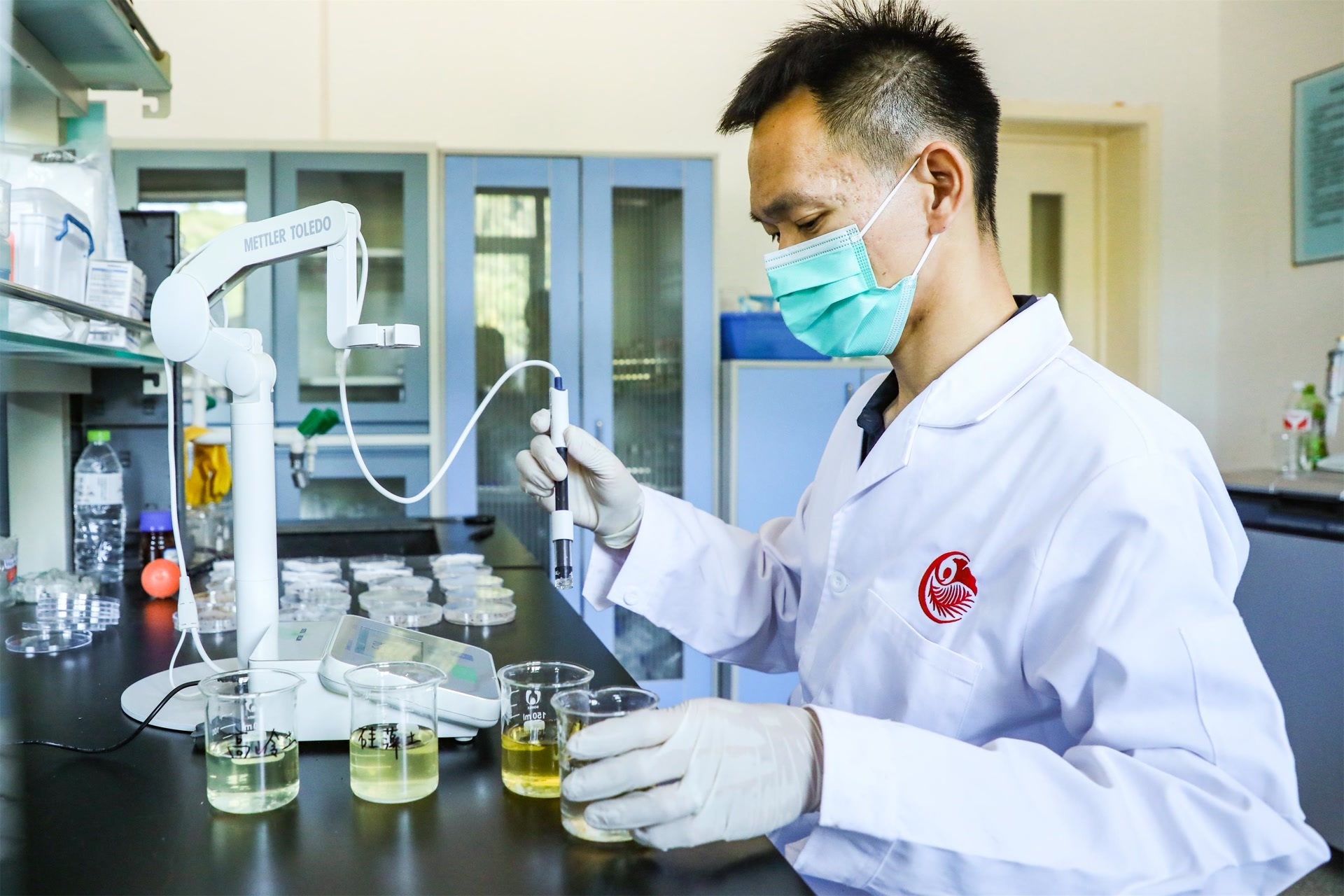 基质理化指标检测(pH值) 基质理化指标检测(pH值)