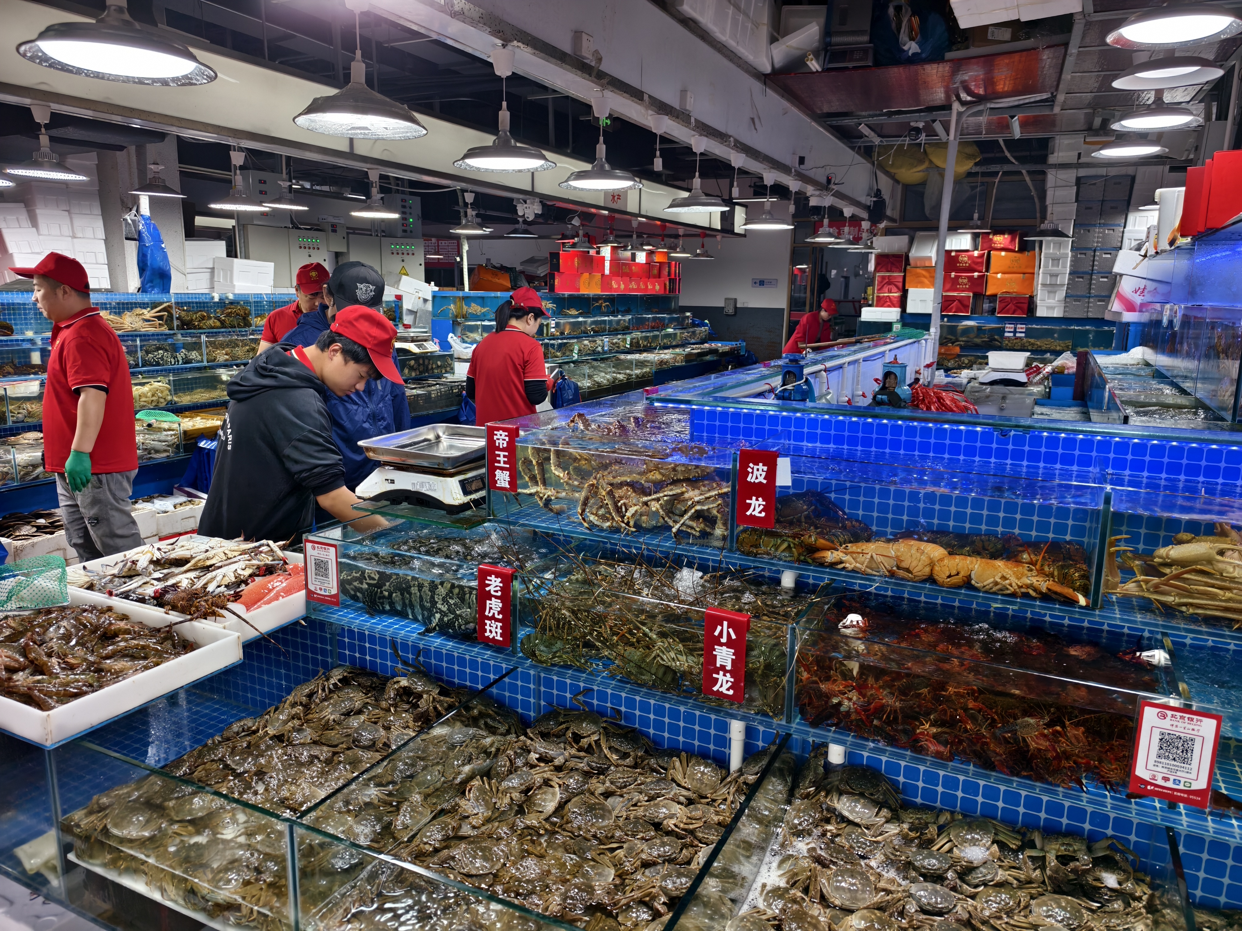水果、海鲜、肉一站都有!国庆节新发地“扫货”攻略来啦 水果、海鲜、肉一站都有!国庆节新发地“扫货”攻略来啦