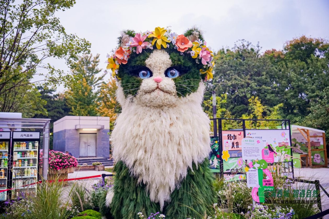 花植猫园谷谷 花植猫园谷谷