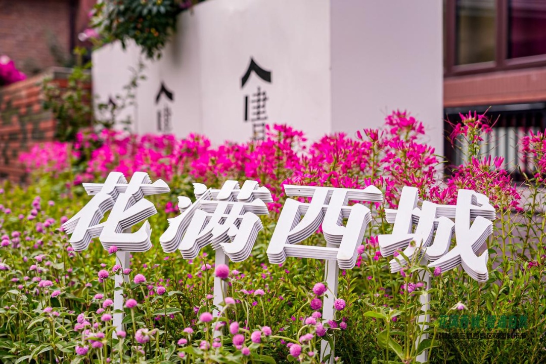 3米高花植猫成热门打卡点,国庆假期京城最萌“寻花奇遇”来了 3米高花植猫成热门打卡点,国庆假期京城最萌“寻花奇遇”来了