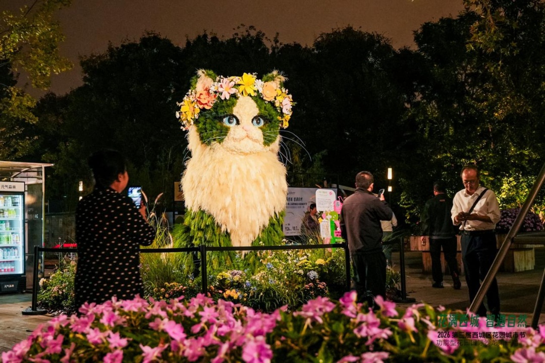 夜色下的“园谷谷” 夜色下的“园谷谷”