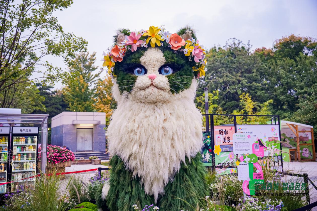 猫咪 猫咪