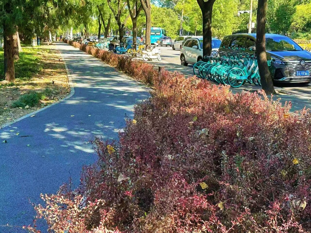 北京中小学校门口的“等候”,温暖升级! 北京中小学校门口的“等候”,温暖升级!