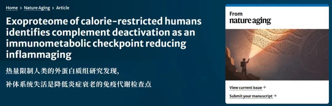 一个被低估的抗炎方法：每顿饭少吃几口，炎症降了、衰老慢了