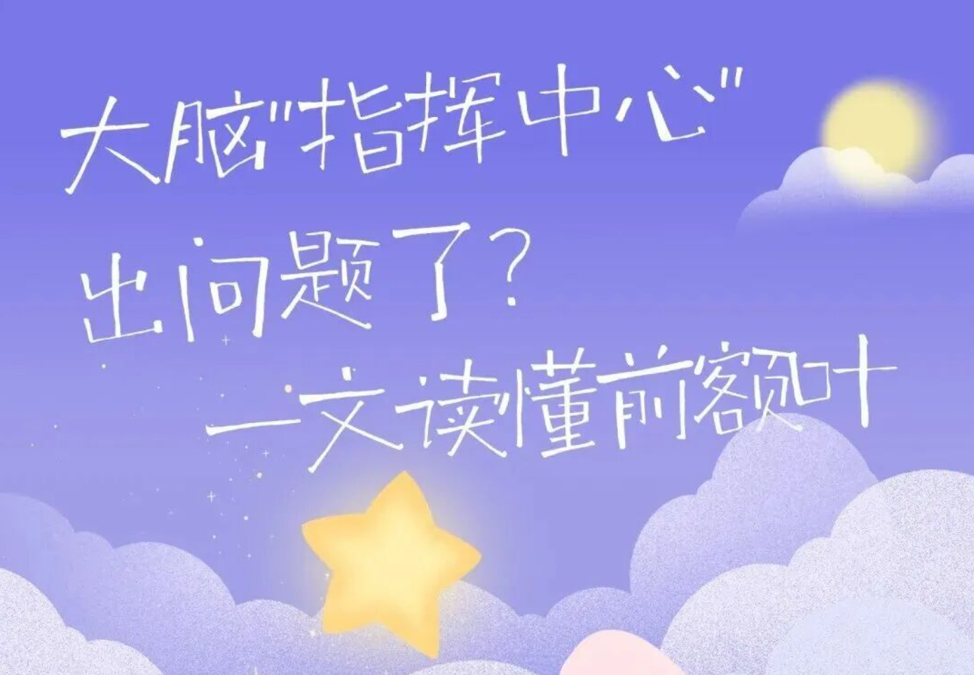 今天起 请尊重一下你的前额叶! 今天起 请尊重一下你的前额叶!