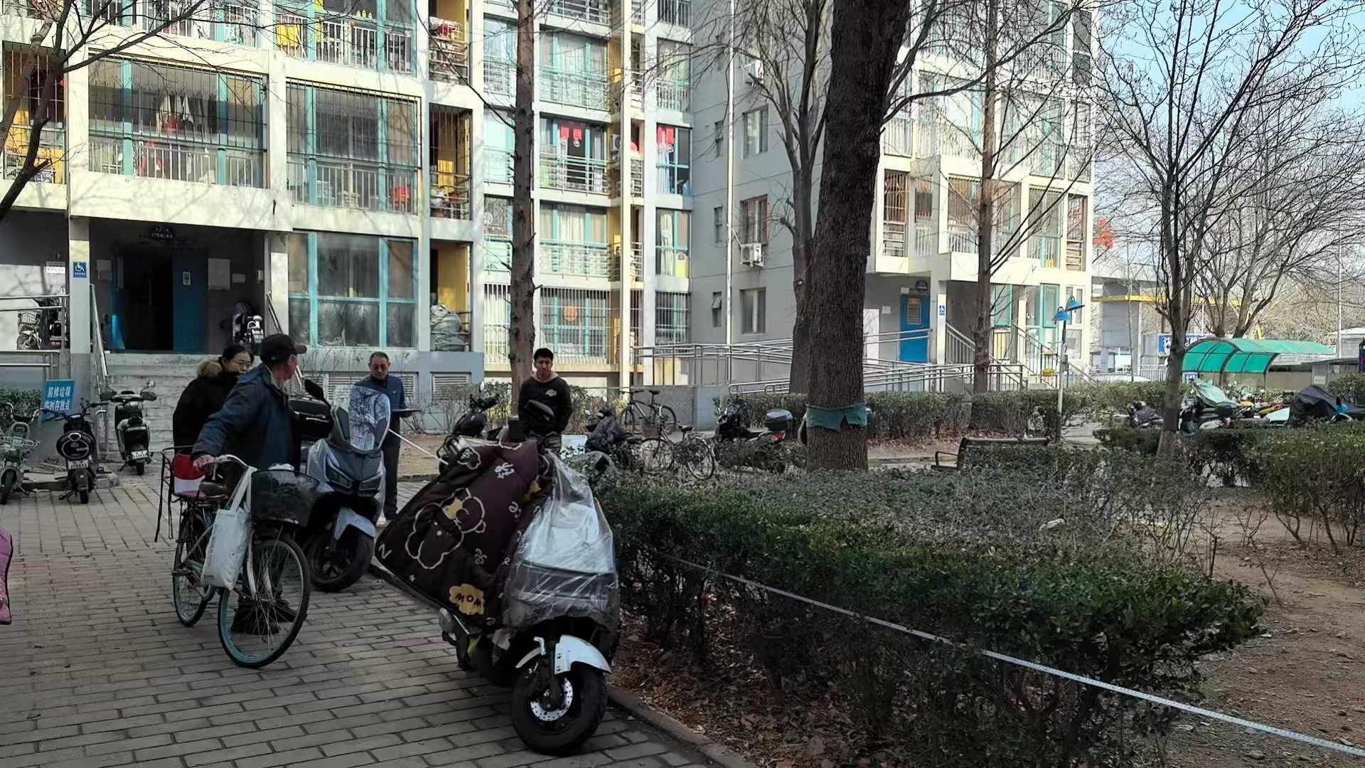 车棚改旧建新让车辆“归位收纳”!北京人家社区化解居民停车烦恼 车棚改旧建新让车辆“归位收纳”!北京人家社区化解居民停车烦恼