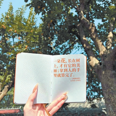 老舍纪念馆“丹柿小院”柿子挂满枝头,新品文创受热捧。 老舍纪念馆“丹柿小院”柿子挂满枝头,新品文创受热捧。