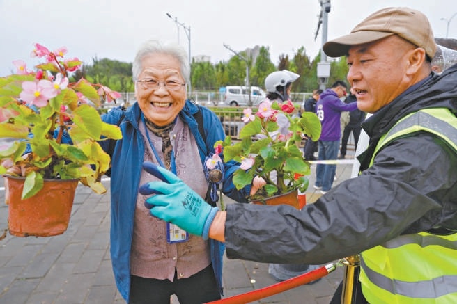 昨天早上,首钢大桥西北角花坛旁,市民排队领花。 昨天早上,首钢大桥西北角花坛旁,市民排队领花。