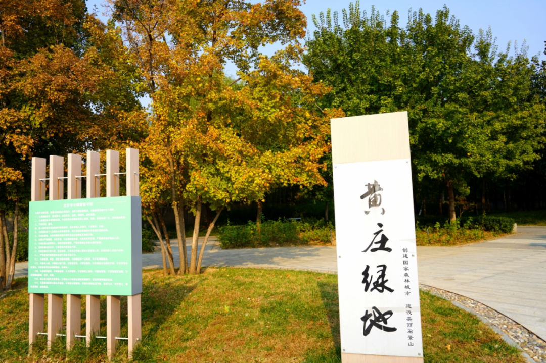 一园秋光 装下全龄欢喜