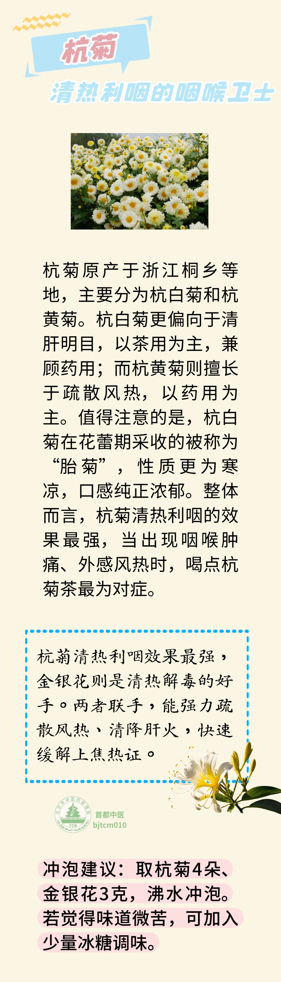 菊花茶去火,怎么喝最养生?五种菊花效不同,来看看你适合哪种 菊花茶去火,怎么喝最养生?五种菊花效不同,来看看你适合哪种