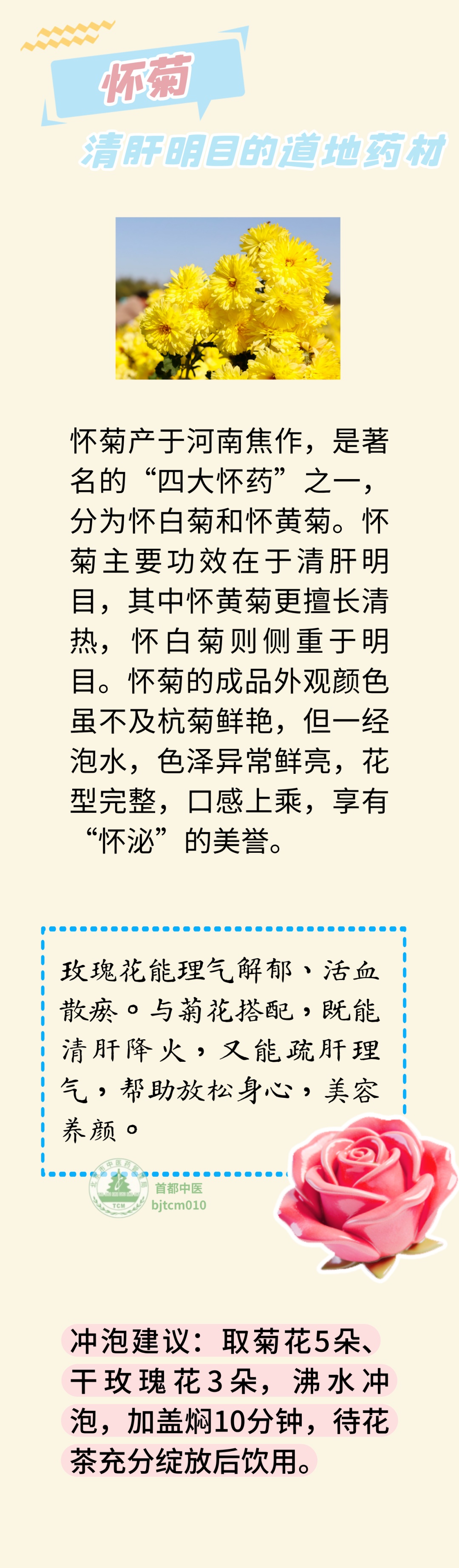 菊花茶去火,怎么喝最养生?五种菊花效不同,来看看你适合哪种 菊花茶去火,怎么喝最养生?五种菊花效不同,来看看你适合哪种