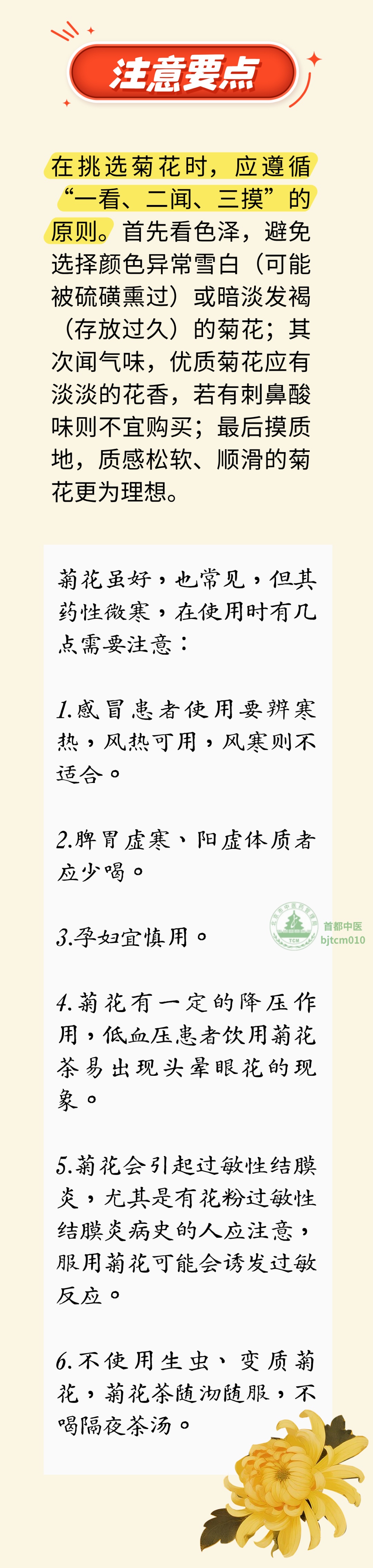 菊花茶去火,怎么喝最养生?五种菊花效不同,来看看你适合哪种 菊花茶去火,怎么喝最养生?五种菊花效不同,来看看你适合哪种