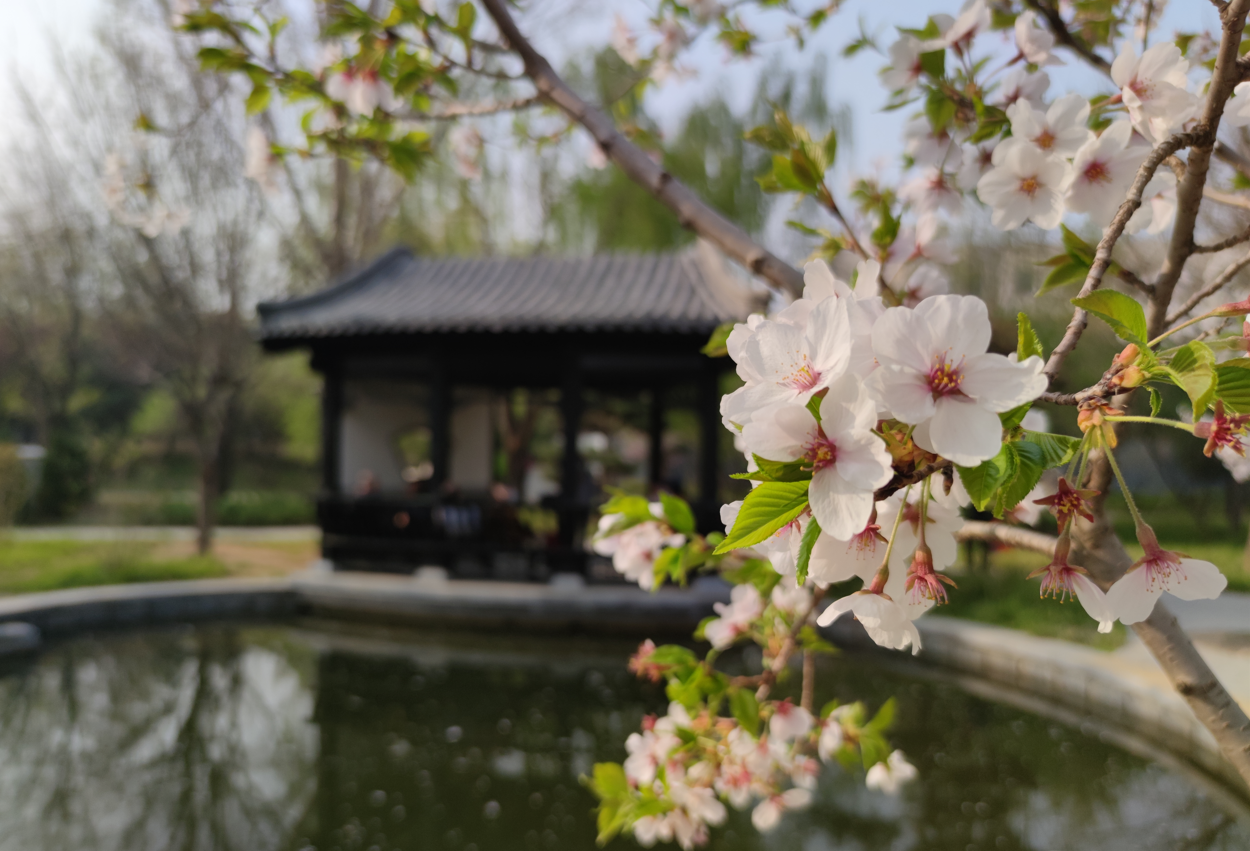 3月11日至3月17日出行提示