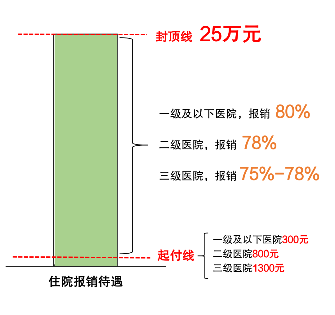 城乡居民住院待遇一览表