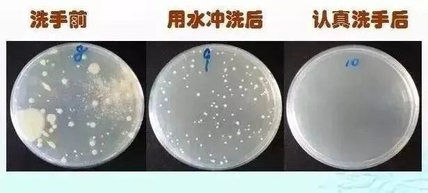预防呼吸道传染病 正确洗手很重要