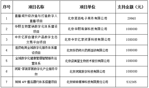 电子商务创新示范项目资金明细表