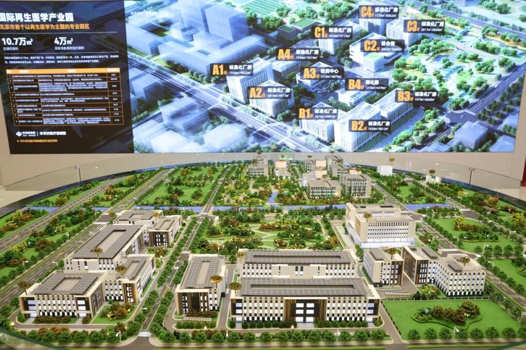 医启新程 再生万象——北方首个“再生医学”专业产业园开园